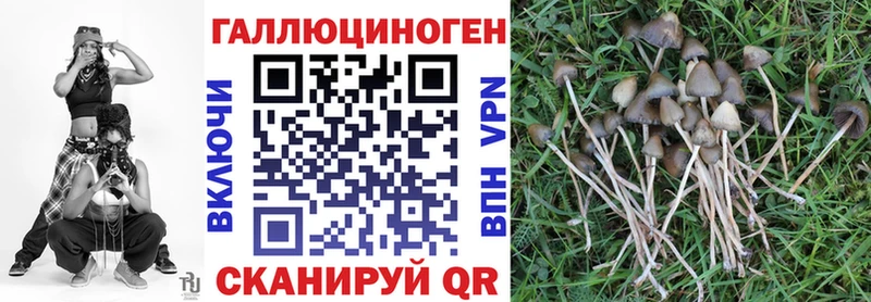 Галлюциногенные грибы Psilocybine cubensis Куса